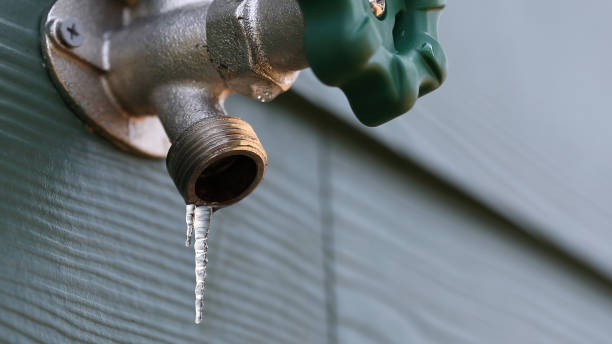 Best Water Heater Repair  in Spring City, TN